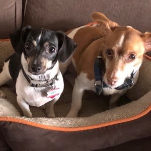 Meet your Posher, Becky